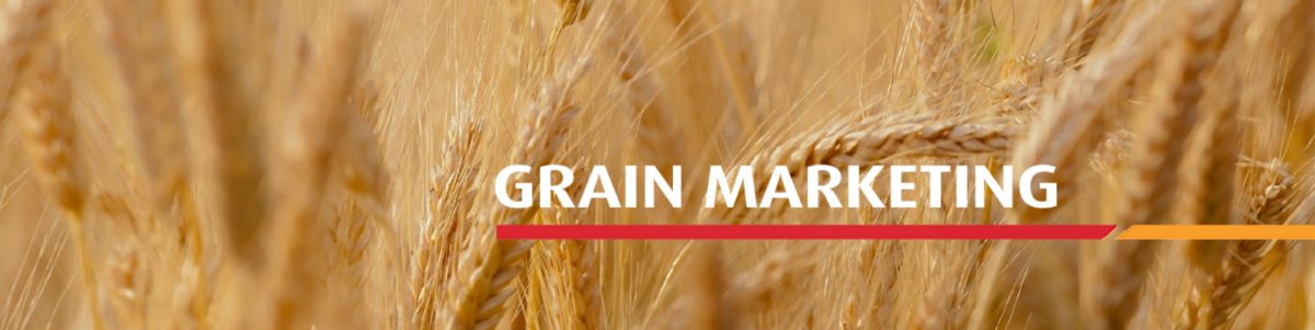 Grain Marketing banner